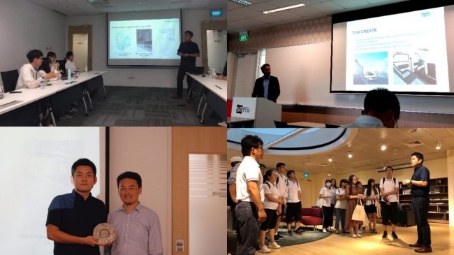新加披6 新加披6
